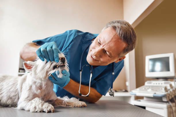 Best Emergency Tooth Extraction in Belleview, FL